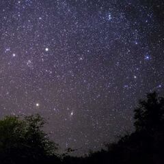 Lluvia de estrellas Fenícidas: cuándo y en qué estados se podrán ver en México