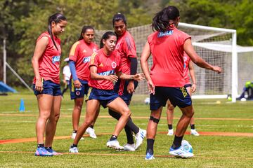 La Selección Colombia Femenina dejó atrás la celebración por clasificar al Mundial y los Juegos Olímpicos y se enfoca en la final de la Copa América ante Brasil este sábado en el Alfonso López de Bucaramanga.