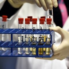 El 2017 de la AMA: 1.804 casos de dopaje en 114 países