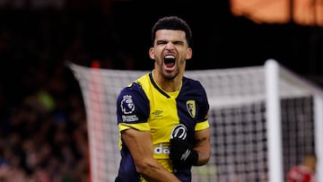 Dominic Solanke.