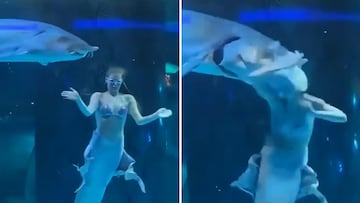 El brutal ataque de un esturión a la cabeza de una mujer que pudo acabar en tragedia