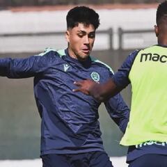 Revelan la razón que tiene a Damián Pizarro sin debutar en el Udinese: “Tres meses”