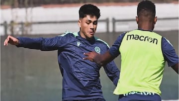 Revelan la razón que tiene a Damián Pizarro sin debutar en el Udinese: “Tres meses”