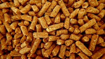 Un experto manda un aviso sobre los pellets de calefacción almacenados desde el año pasado: “No lo esperábamos”
