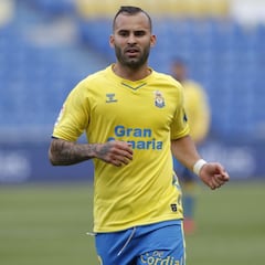 El camino de Jesé entre árboles y bosque