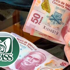 Pensión IMSS revela la fecha oficial del pago de diciembre del 2024