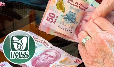 ¿Adiós a la Pensión IMSS?: los adultos mayores se quedarían sin ella a partir de ese año