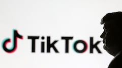 These are the U.S. influencers who will stop earning because of the TikTok ban