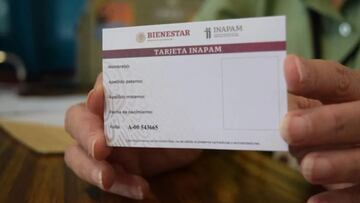 ¿Hay descuento en el recibo de luz para los adultos mayores con tarjeta INAPAM?: esto dice CFE