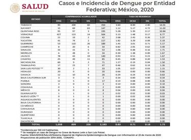 Casos de dengue se multiplicaron en México en el 2020
