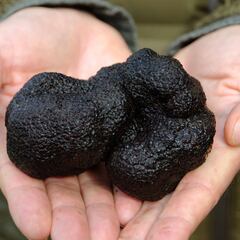 Se halla en el sur de Chile, le llaman ‘oro’ negro’ y se exporta a mercados de lujo de Europa y Asia: este es el precio por kilo