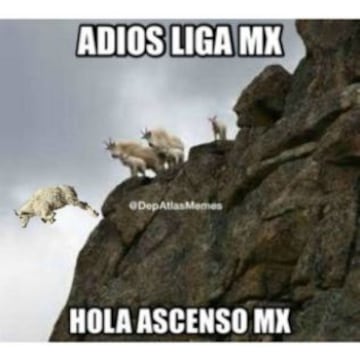 Los memes de la derrota de Chivas en la jornada 5