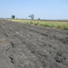 El otro oro negro que Putin ansía para controlar el mundo