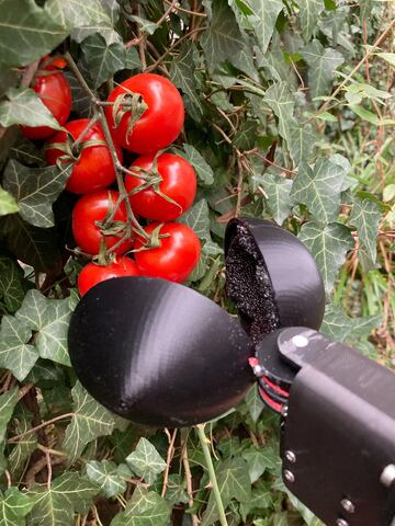 robot chatgpt tomates