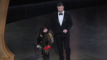 Jenny, el asno de "The Banshees of Inisherin", fue invitado de honor en los Premios Oscar. Así el momento en el que el animal se apoderó del Dolby Theatre.