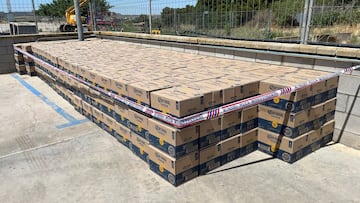 A driver loses 8,800 beers during his break and a town wants to keep them for its festivities: Police act and solve the case