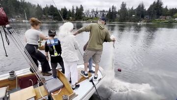 Están tirando las cenizas de su abuelo con Sinatra de fondo y sucede un ‘tierra trágame’ de no creer