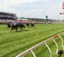 'Black caviar' se retira invicta