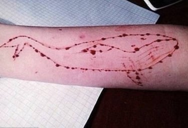La Ballena Azul: el reto viral que lleva a los jóvenes al suicidio