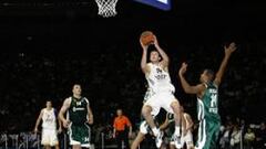 Madrid y Barça, a evitar al Maccabi y Efes Pilsen