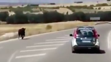 La Guardia Civil persigue a un toro en Cuenca. Im&aacute;gen: YouTube