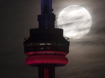 La superluna detr¨¢s de la torre CN de Toronto, Canad¨¢.