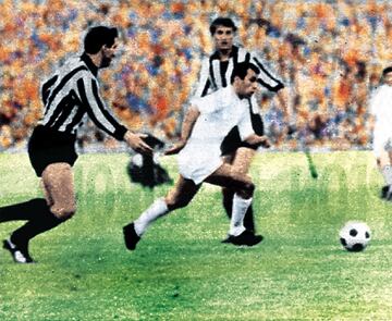 Además de las numerosas Ligas y la Copa, Amancio ganó Copa de Campeones de Europa 1965-66. En la final el conjunto blancó venció al F. K. Partizan por 2-1. El propio Amancio anotó el gol del empate para que después Serena diera la Sexta Copa de Europa al Real Madrid.