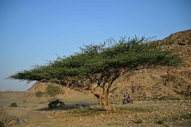 Adrien Van Beveren en la Etapa 1 de la 48ª edición del Rally Dakar, con salida y llegada en Yanbu.