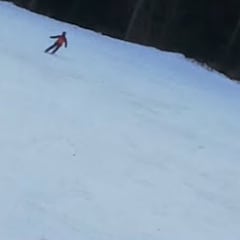 Graban a un oso persiguiendo a un esquiador por una pista de esquí