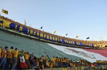 Fans of Mexico's Tigre cheer for their team before the start of their Copa Libertadores first leg final against Argentina's River Plate at the University stadium in Monterrey, Mexico on July 29, 2015.   AFP PHOTO/ RONALDO SCHEMIDT