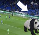 La atajada del partido la hizo... ¡un oso panda! Mira sus reflejos
