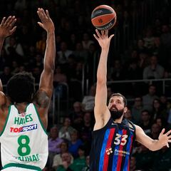 Mucho Mirotic, poco Zalgiris