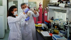 Coronavirus en Argentina: resumen y casos del 19 de mayo