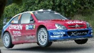 <b>A POR EL PODIO</b>. El piloto madrileño Carlos Sainz pugnará hasta el último momento con Martin para subirse al tercer escalón del cajón.