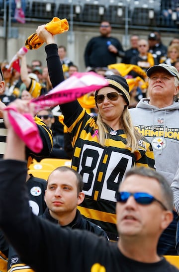 Y hablando de celebridades, la Abeja Maya estuvo en Pittsburgh disfrutando de los Steelers.