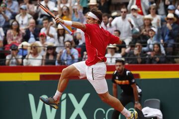 David Ferrer.