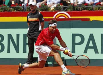 David Ferrer.