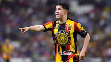 Leones Negros va a la Final en la Liga de Expansión