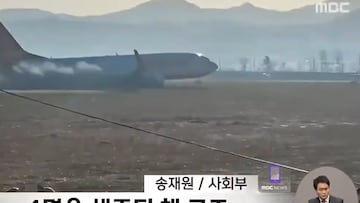 Jeju Air flight 2216: dramatic video shows crash in South Korea, 181 aboard