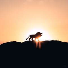 Dime a qué hora te levantas y te diré cómo te organizas el día