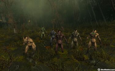 [GC] The Witcher Enhanced Edition, Impresiones