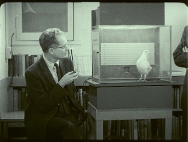 Este experimento psicológico con animales demostró que hay varias formas de alterar la conducta humana