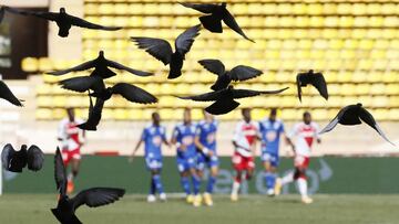 Las palomas, espectadoras en el M車naco-Estrasburgo