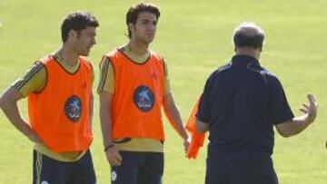 <strong>CONFIANZA.</strong> Cesc quiere ser una de las piezas fundamentales en la nueva selección de Luis Aragonés.