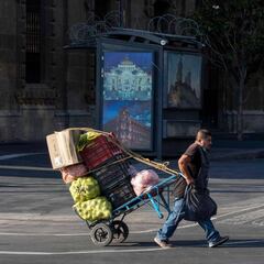 Curva del coronavirus en México hoy, 14 de junio: ¿cuántos casos y muertes hay?