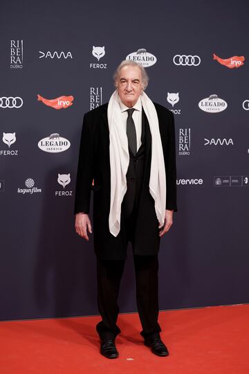 El actor Juan Lombardero posa en la alfombra roja de la XI edición de los Premios Feroz.