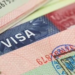 ¿Tienes visa americana? La administración Trump podría investigarte y revocarla si detecta irregularidades
