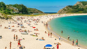 Experts warn of hidden danger from the ‘blue dragon’ returning to European coasts