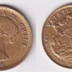 Si tienes esta moneda antigua de 20 pesos chilena en casa podrías recibir hasta $300 mil pesos por ella