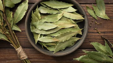 La razón por la que deberías dejar una hoja de laurel detrás de la puerta si quieres ahorrarte algún enfado durante el verano